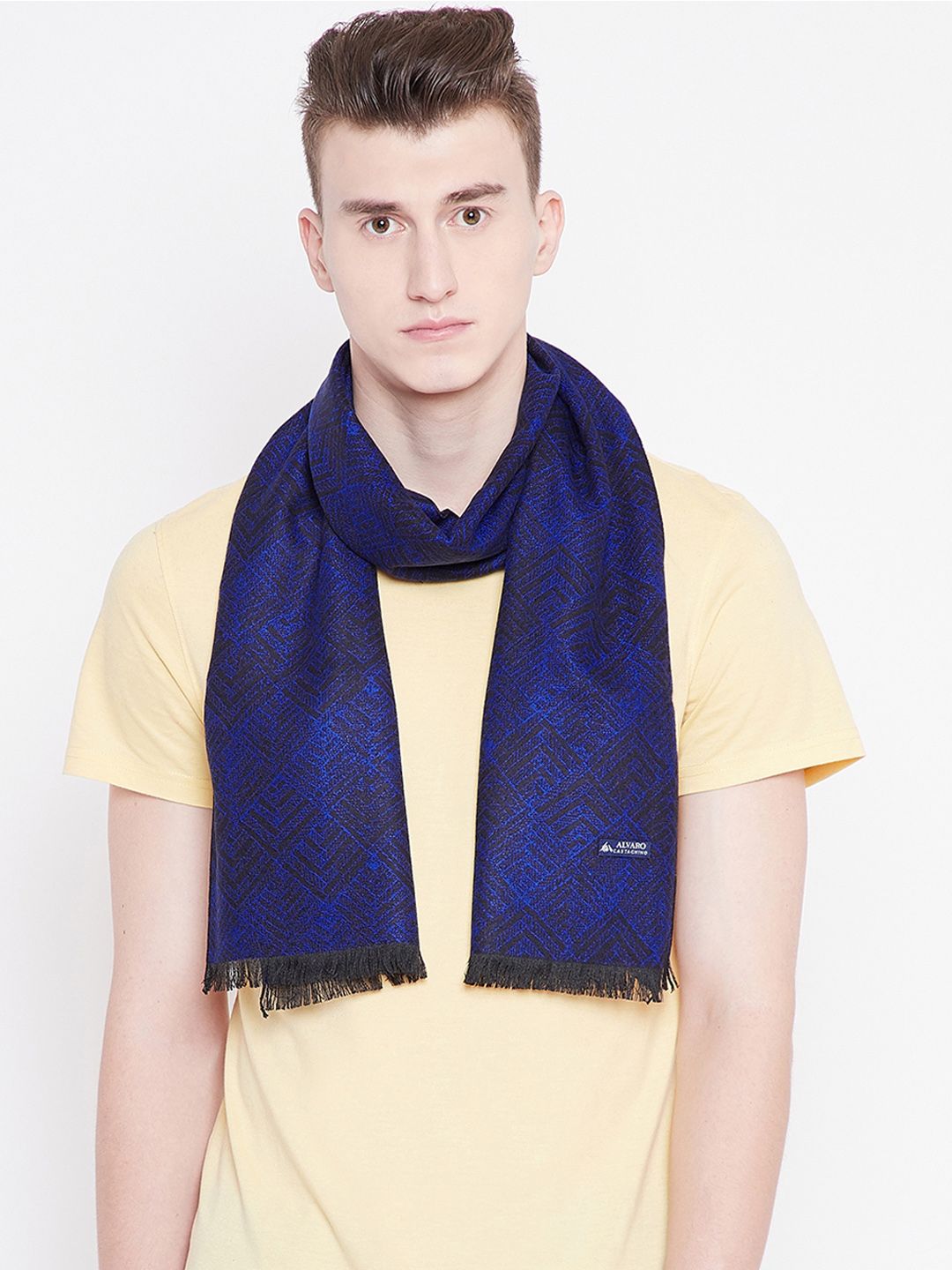 Alvaro Castagnino Men Blue & Black Checked Mufflers