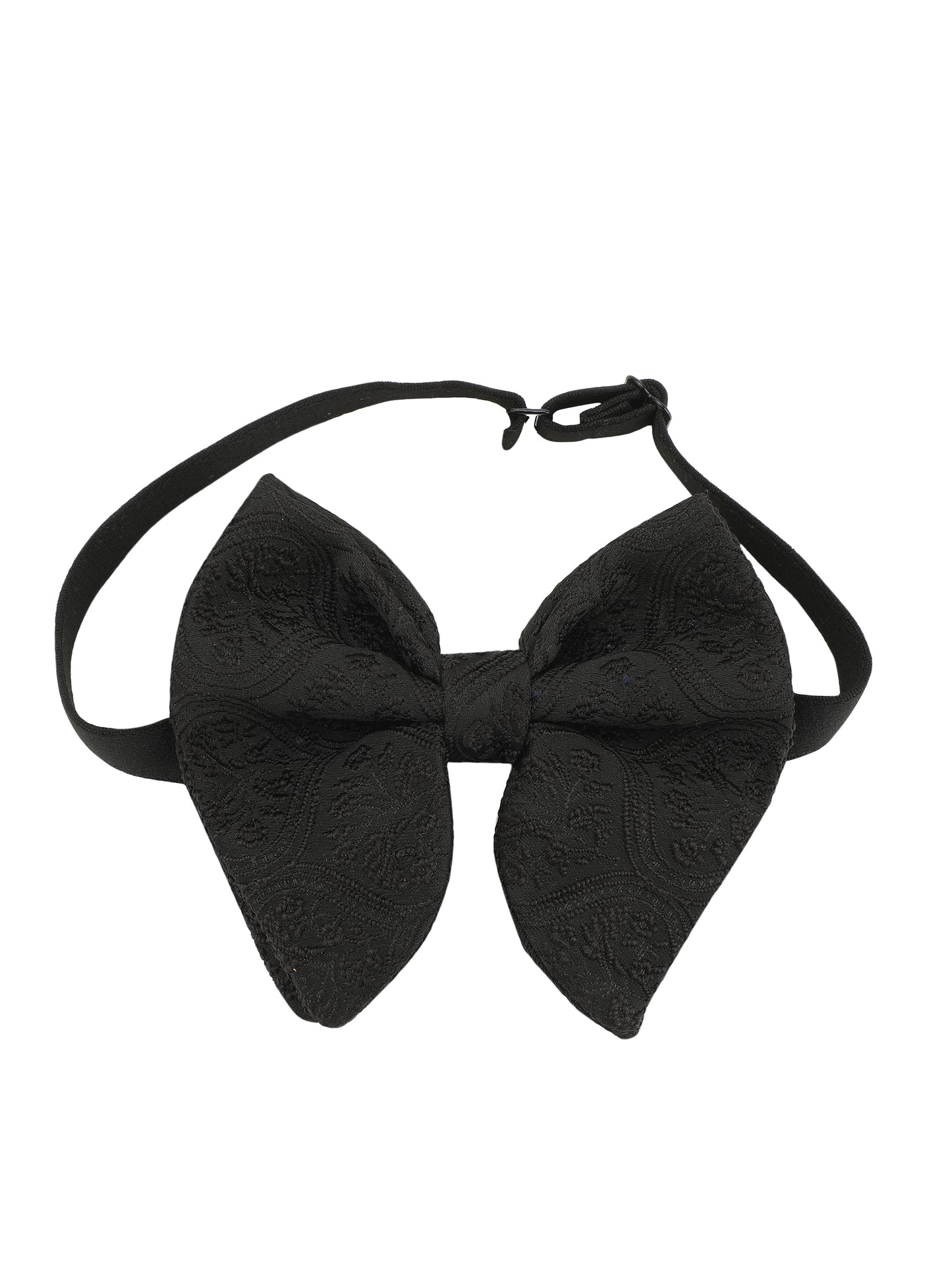 Alvaro Castagnino Cummerband & Bow Tie Set