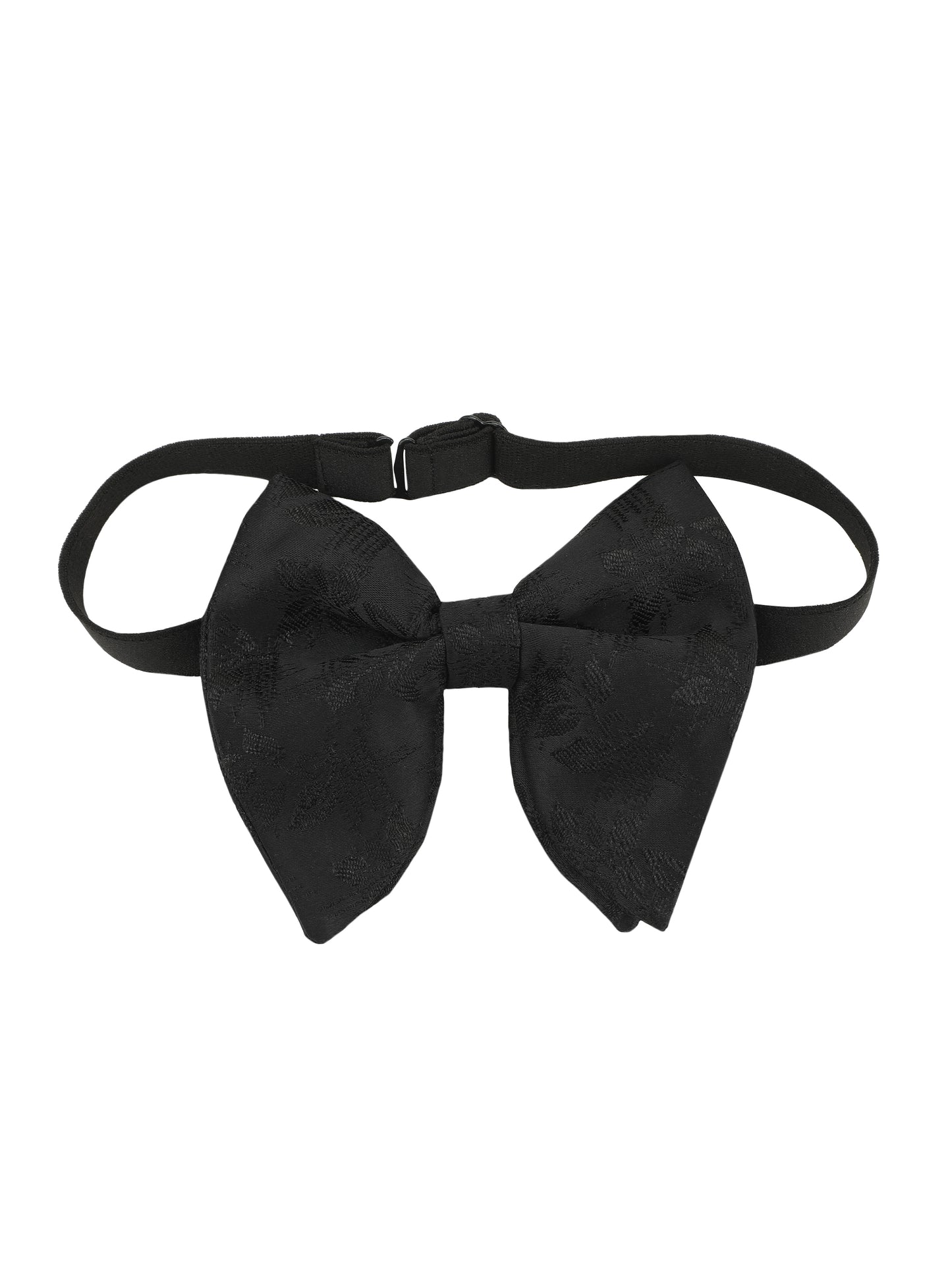 Alvaro Castagnino Cummerband & Bow Tie Set