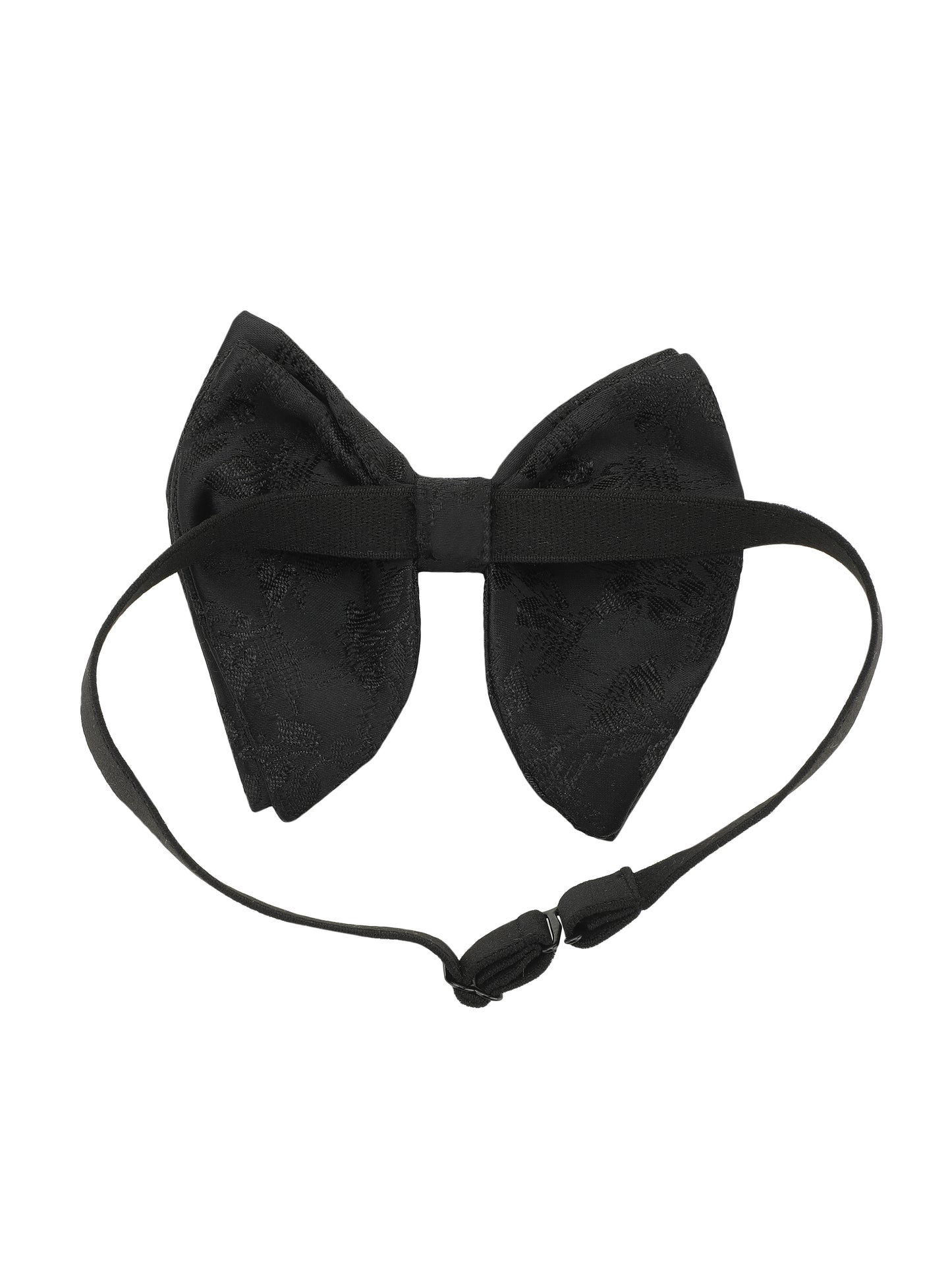 Alvaro Castagnino Cummerband & Bow Tie Set