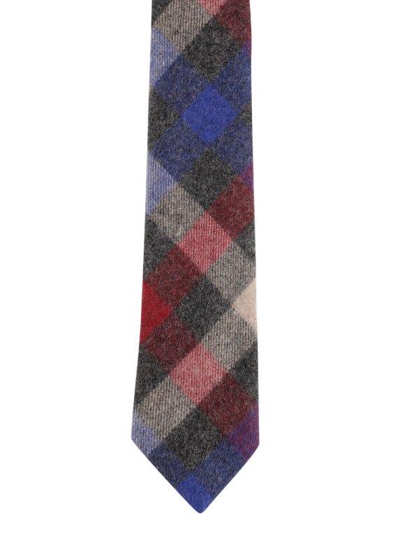 Alvaro Castagnino Multi Coloured Cotton Necktie for Men