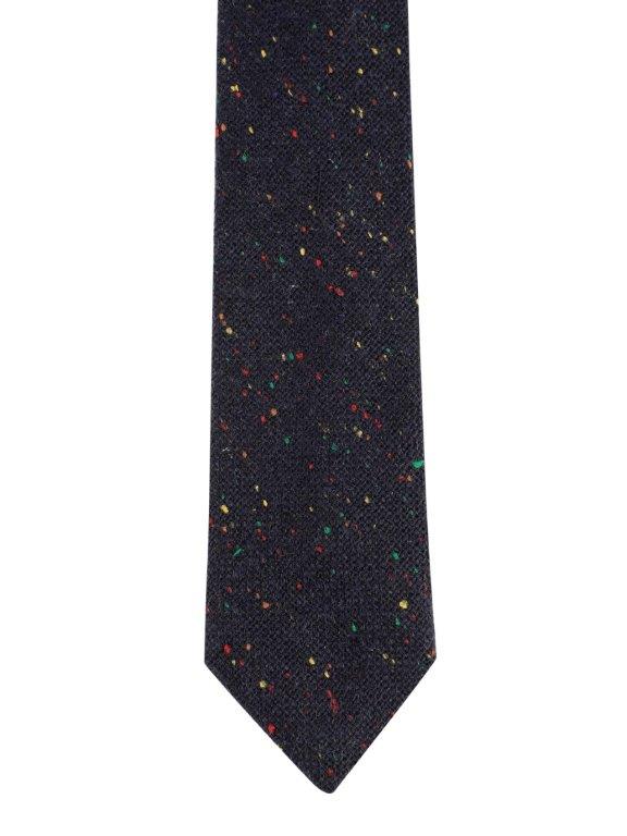 Alvaro Castagnino Blue & Multi Coloured Cotton Necktie for Men
