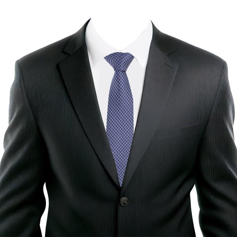 Alvaro Castagnino Blue Coloured Microfiber Necktie for Men