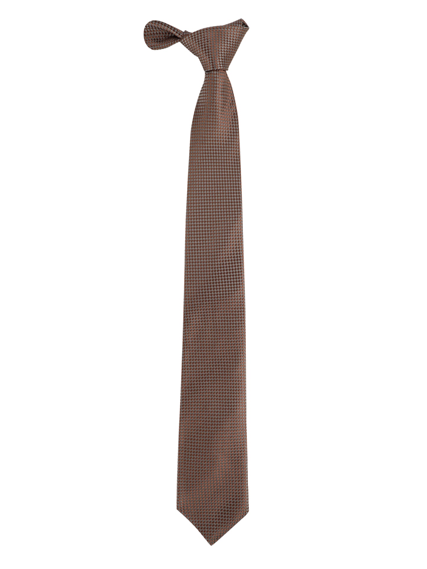 Alvaro Castagnino Brown & Grey Coloured Microfiber Necktie for Men