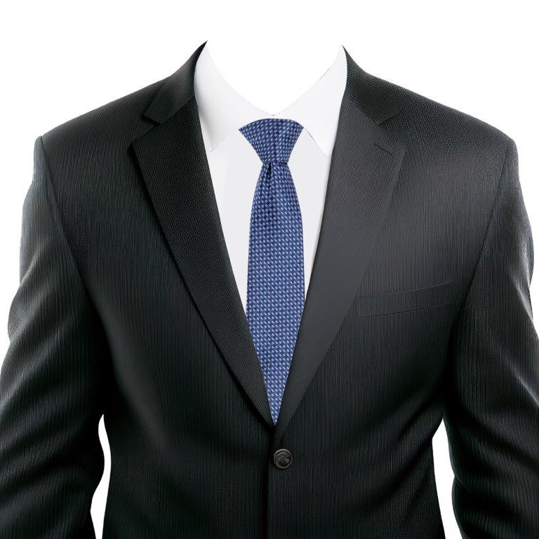 Alvaro Castagnino Blue Coloured Microfiber Necktie for Men