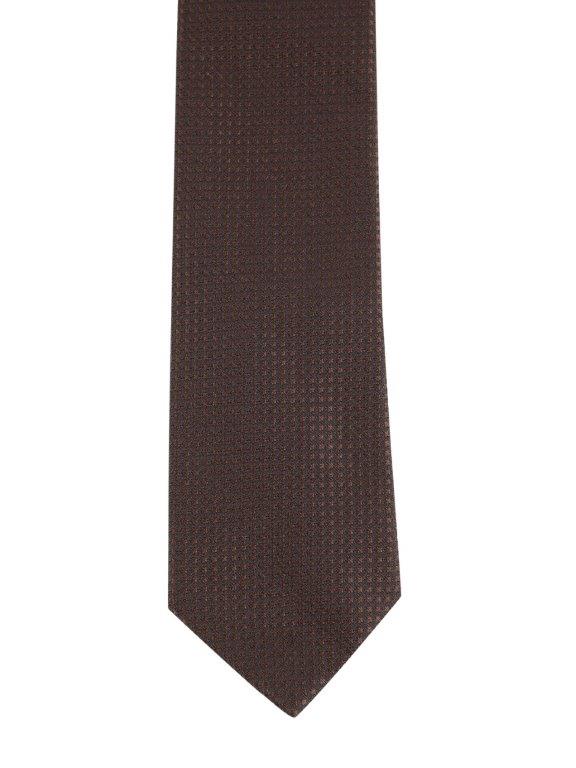 Alvaro Castagnino Brown Coloured Microfiber Necktie for Men