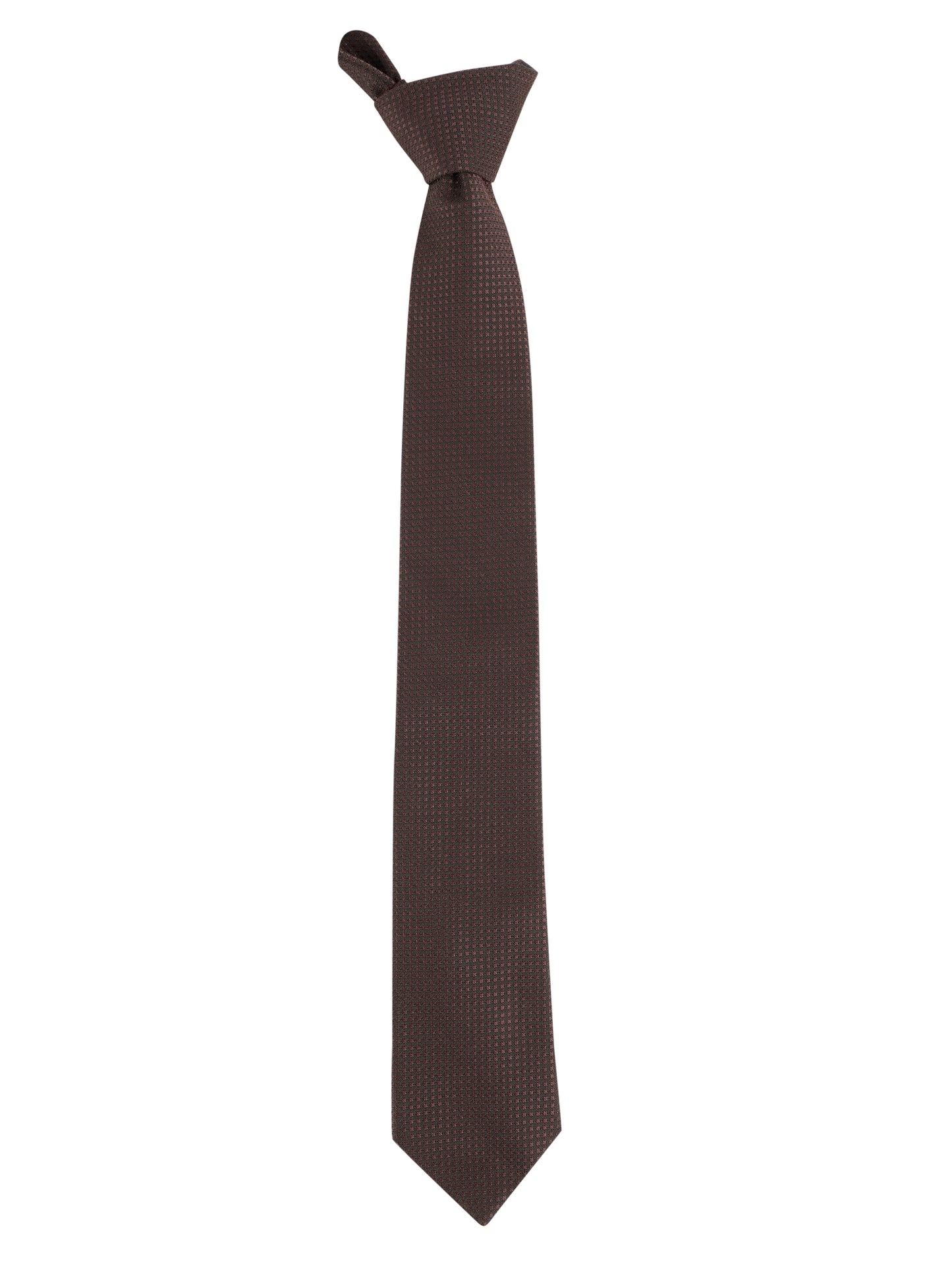Alvaro Castagnino Brown Coloured Microfiber Necktie for Men