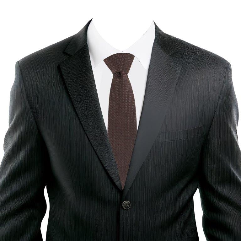Alvaro Castagnino Brown Coloured Microfiber Necktie for Men