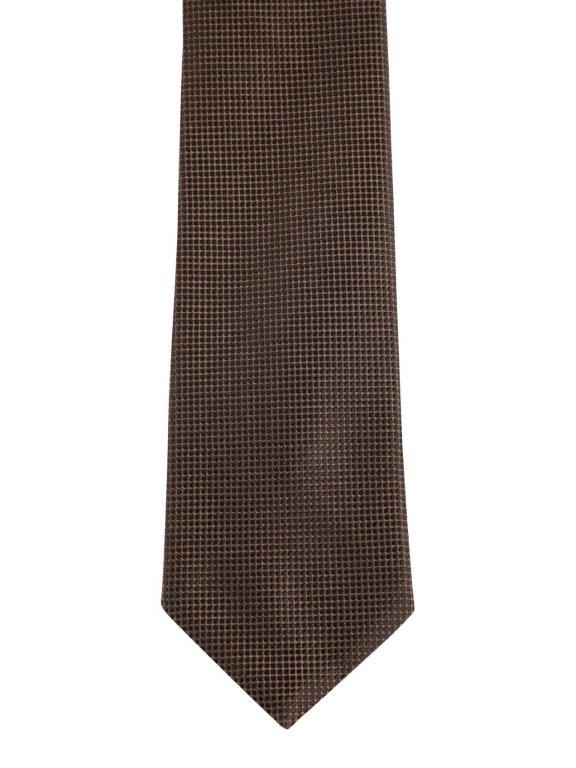 Alvaro Castagnino Brown Coloured Microfiber Necktie for Men