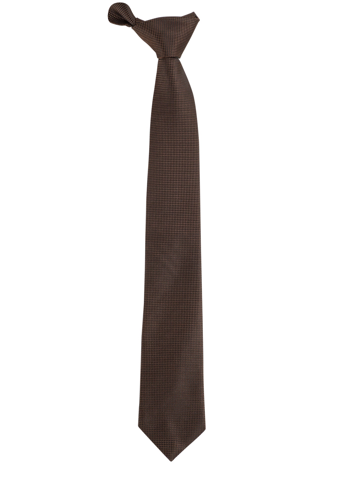 Alvaro Castagnino Brown Coloured Microfiber Necktie for Men