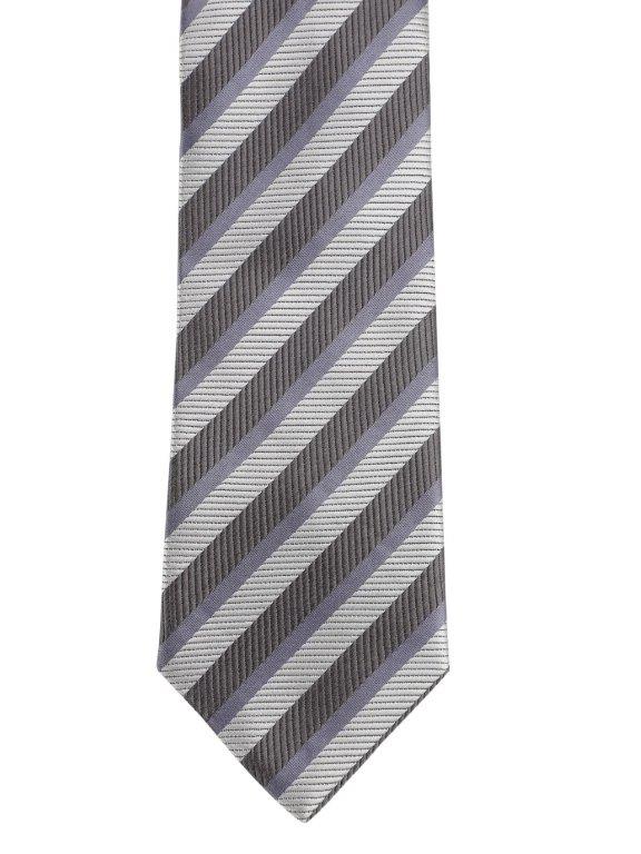Alvaro Castagnino Grey Coloured Microfiber Necktie for Men