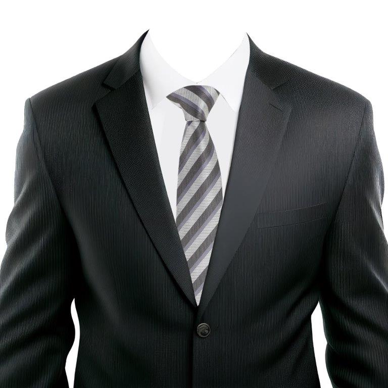 Alvaro Castagnino Grey Coloured Microfiber Necktie for Men