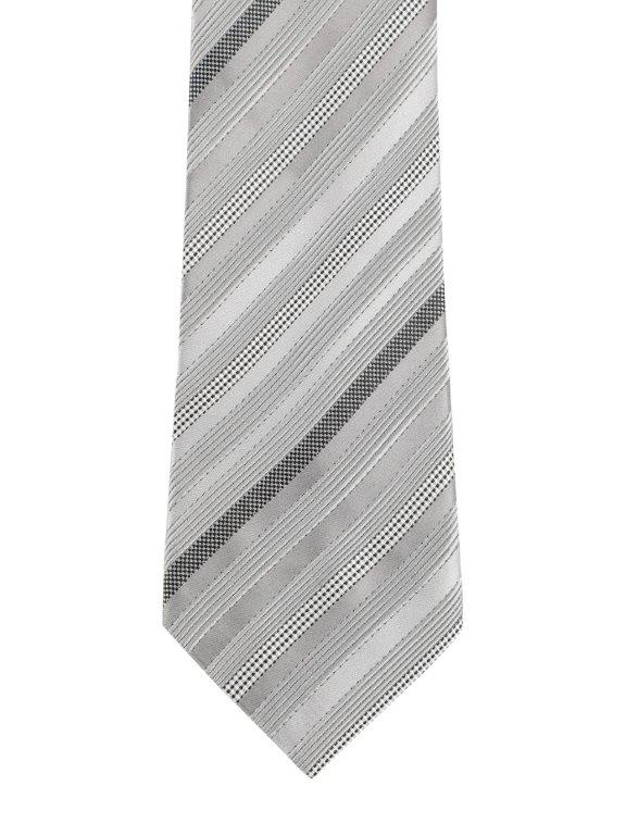 Alvaro Castagnino Grey Coloured Microfiber Necktie for Men