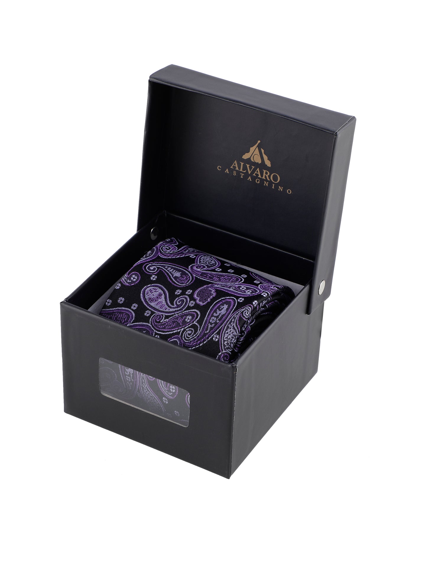 Alvaro Castagnino Purple & Black Coloured Silk Necktie for Men