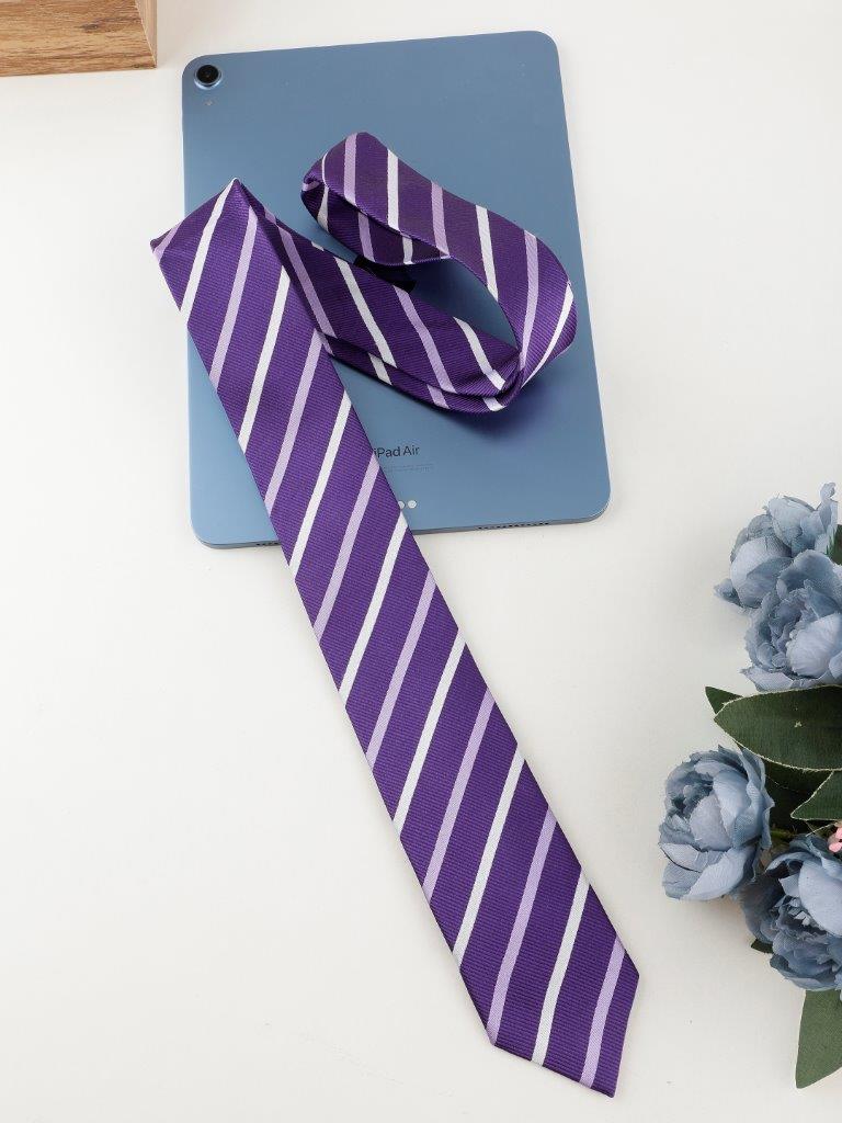 Alvaro Castagnino Purple Coloured Silk Necktie for Men