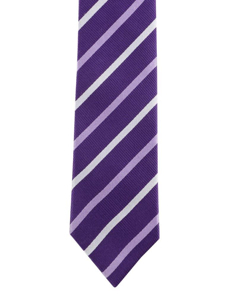 Alvaro Castagnino Purple Coloured Silk Necktie for Men