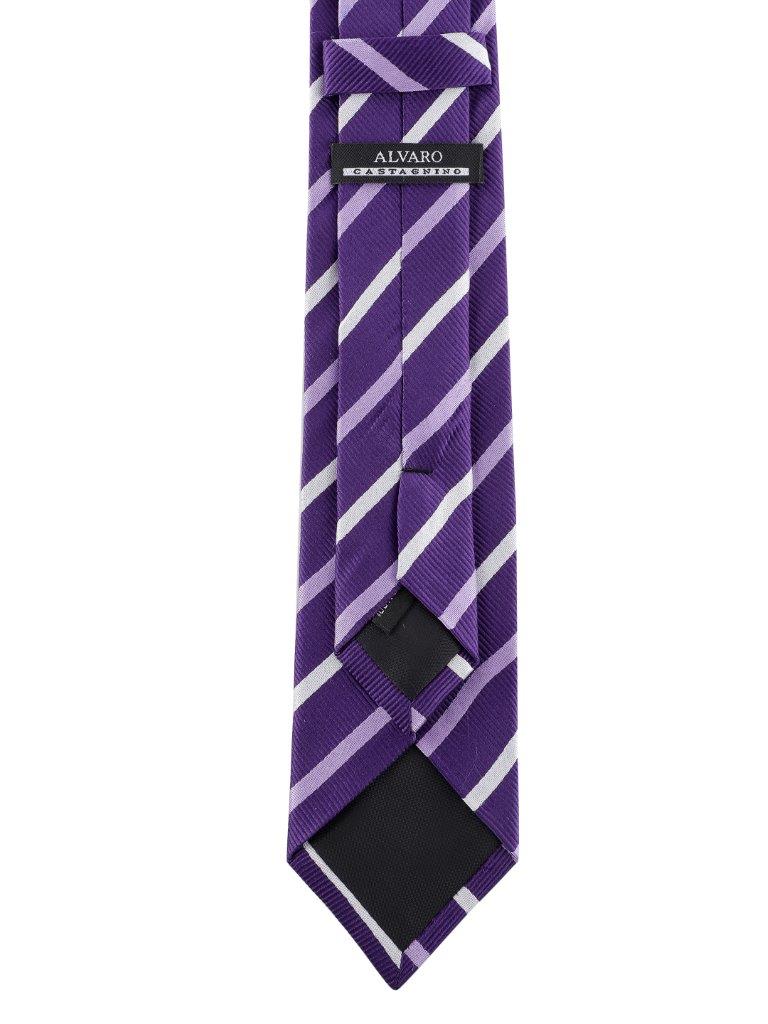 Alvaro Castagnino Purple Coloured Silk Necktie for Men