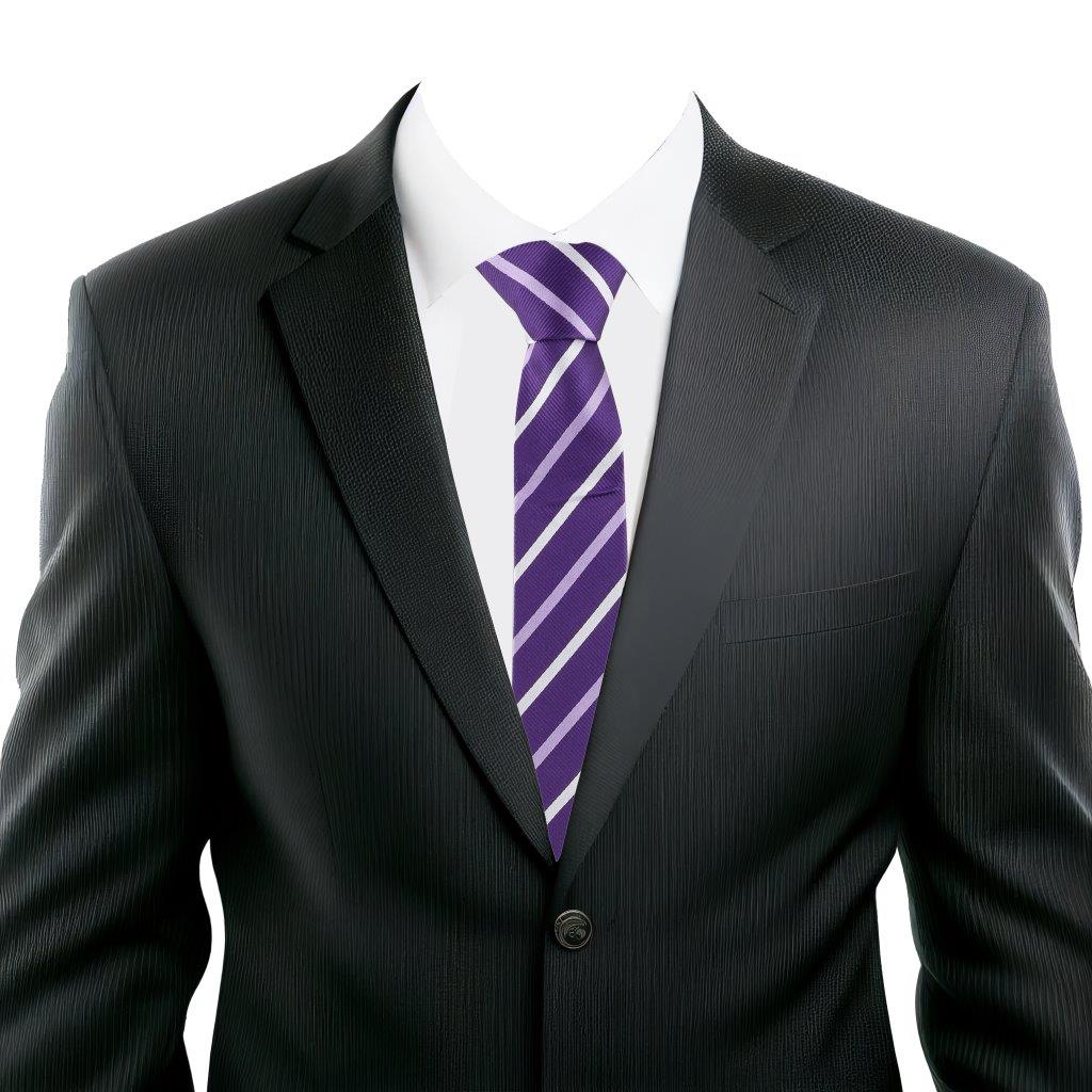 Alvaro Castagnino Purple Coloured Silk Necktie for Men