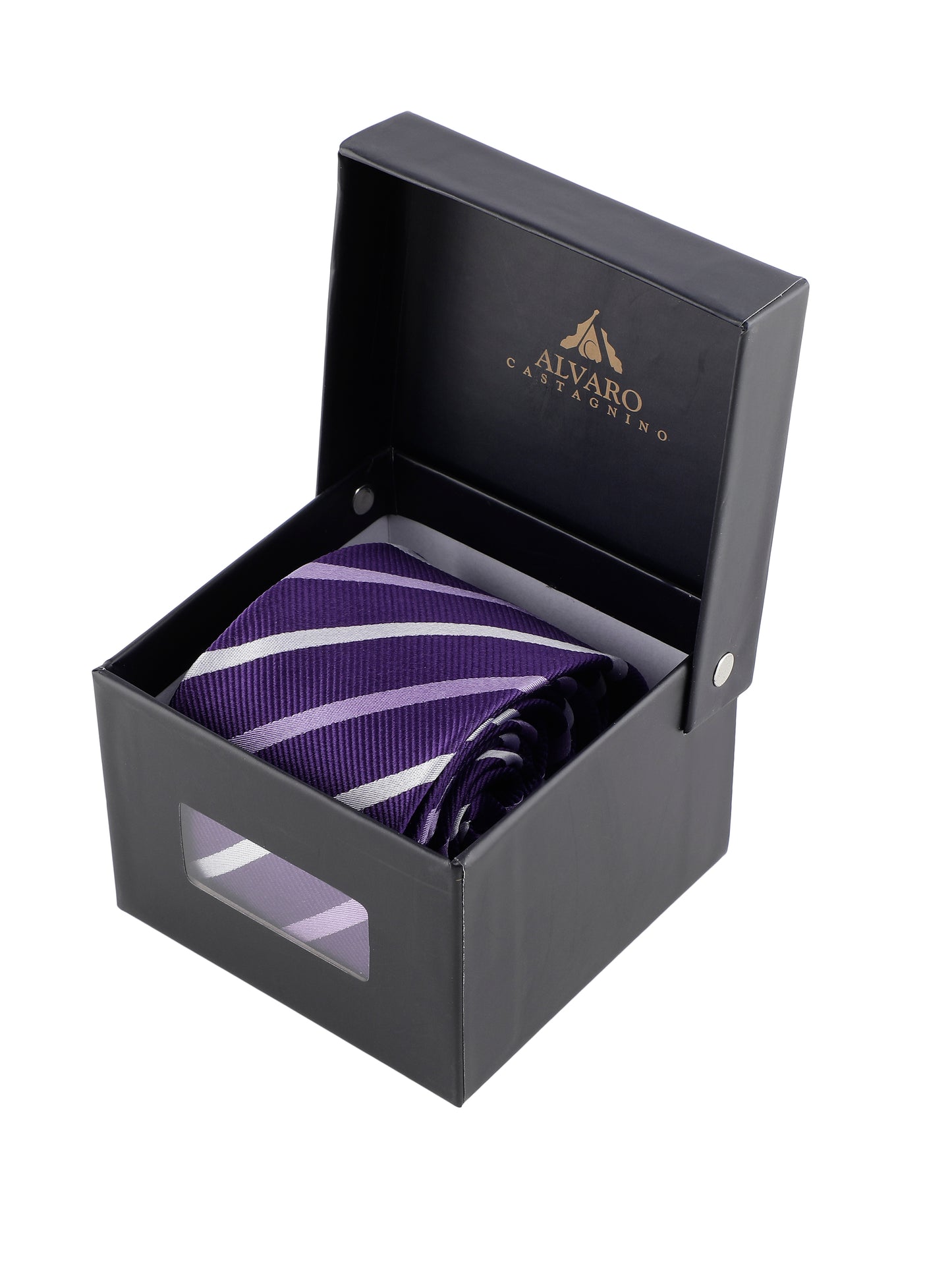 Alvaro Castagnino Purple Coloured Silk Necktie for Men