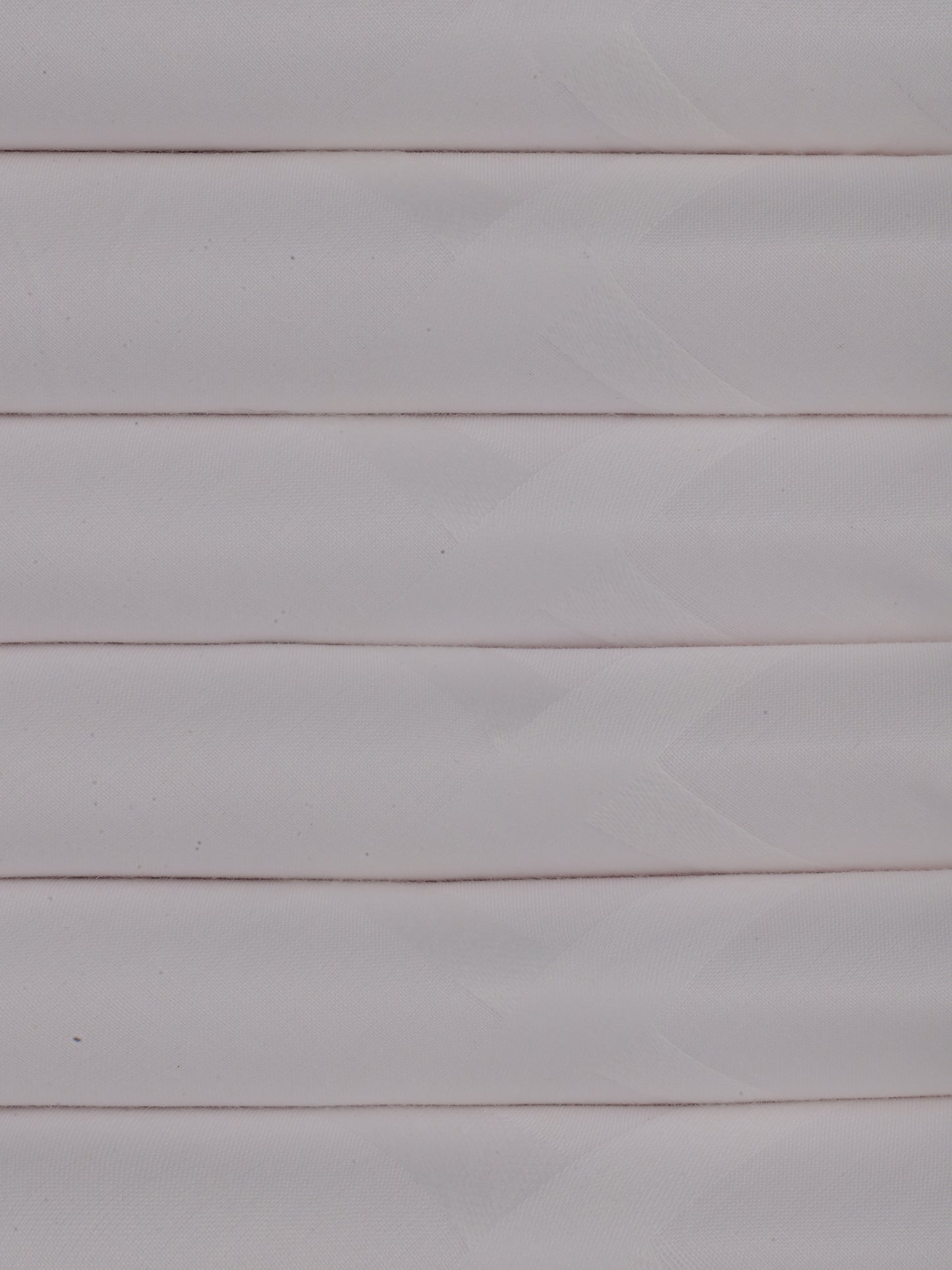 Alvaro Castagnino Men Pack Of 6 White Pure Cotton Handkerchief