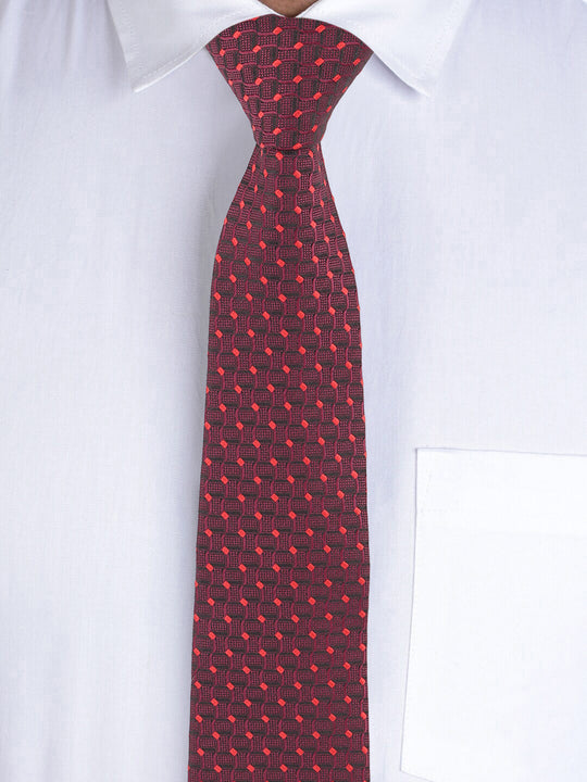 Alvaro Castagnino Maroon Coloured Necktie for Men