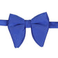 Alvaro Castagnino Men's Royal Blue Colored Floppy Solid Bow Tie