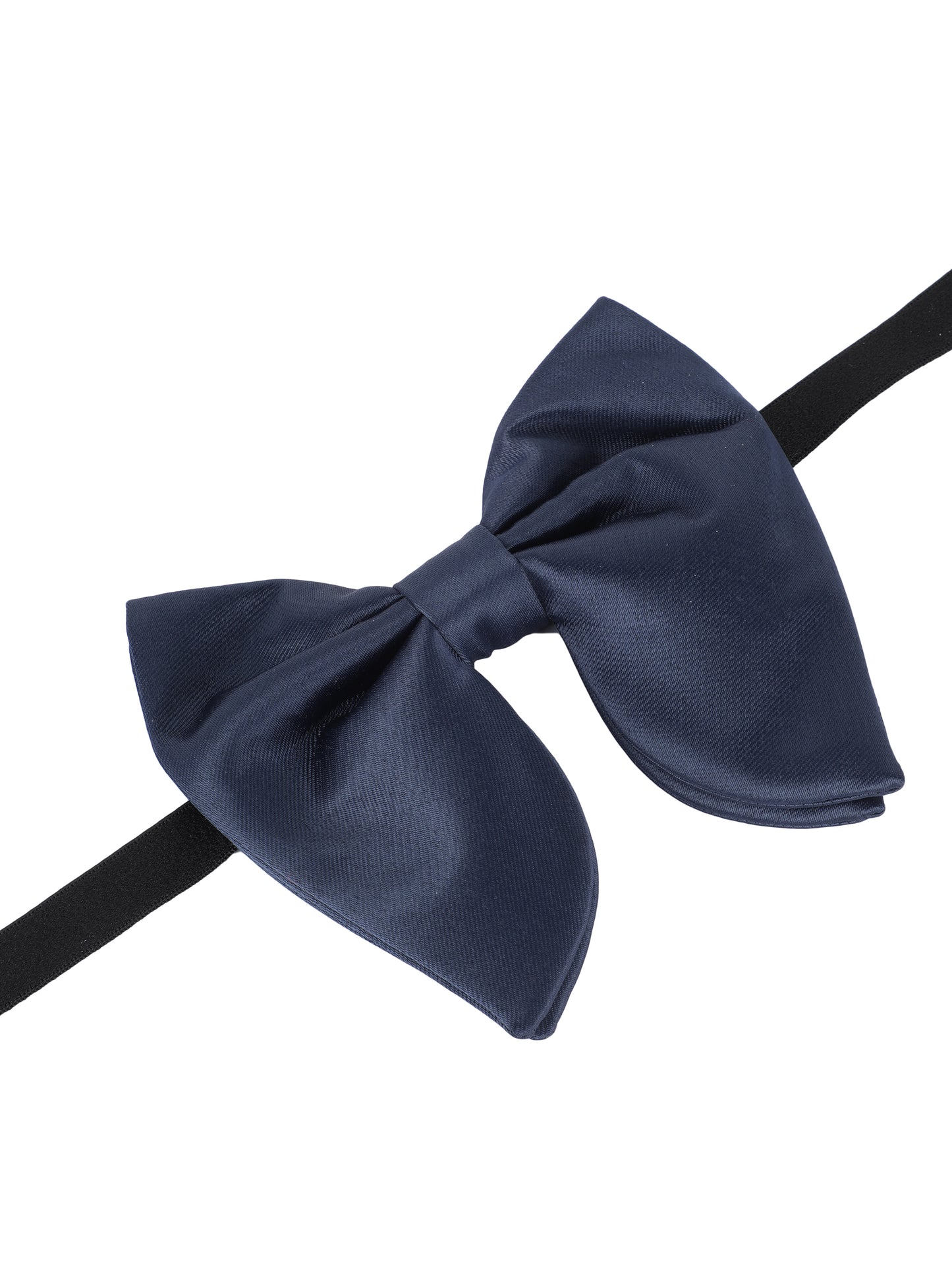 Alvaro Castagnino Men's Blue Colored Butterfly Type Bow Tie