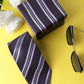 Alvaro Castagnino Microfiber Purple::Multi Colored Stripes Necktie for Men