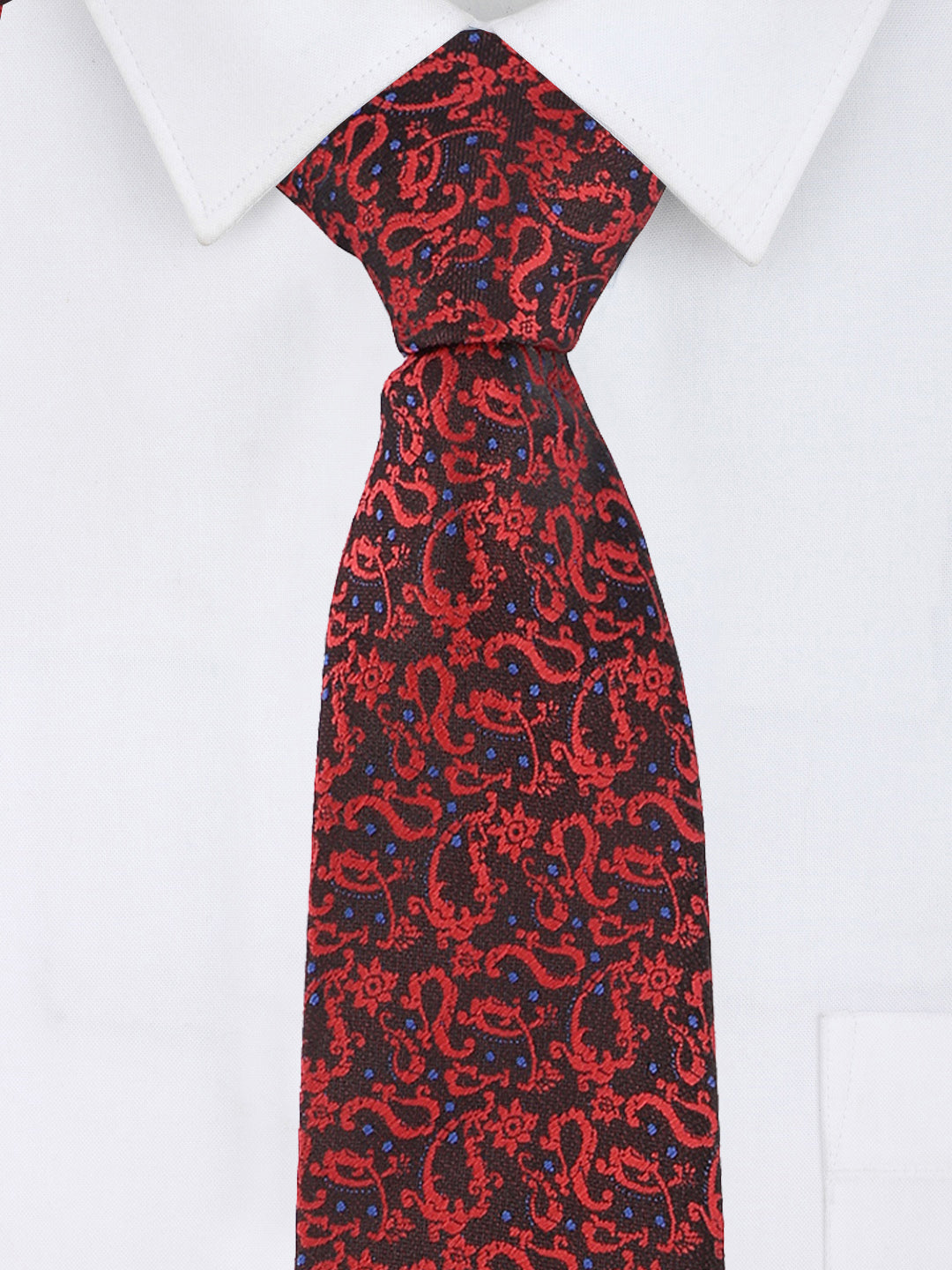 Black and Red Paisley Print Necktie