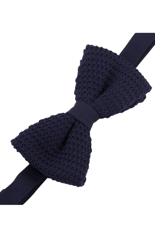 Alvaro Castagnino Men's Blue Colored Bow Tie