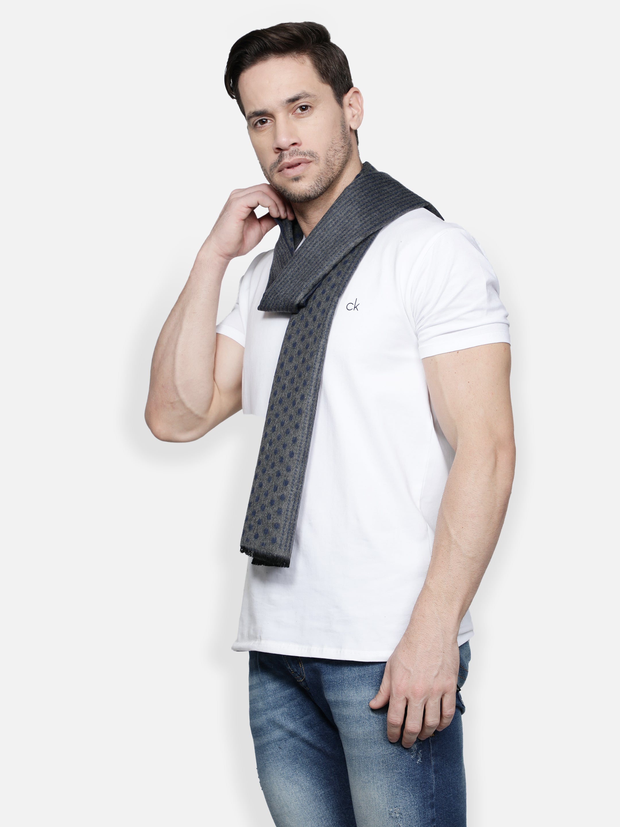 Alvaro Castagnino Men Grey & Blue Printed Muffler