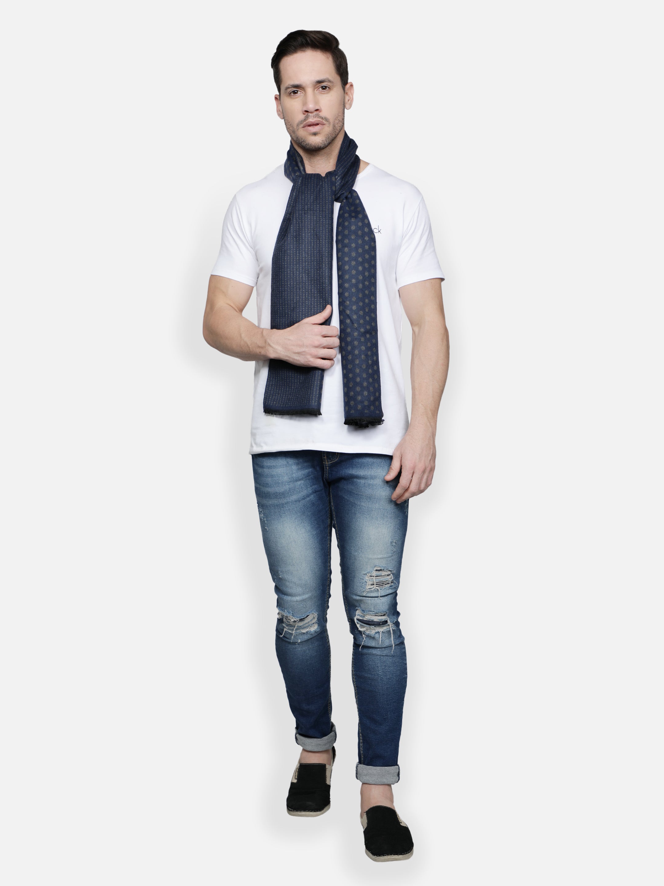 Alvaro Castagnino Men Grey & Blue Printed Muffler