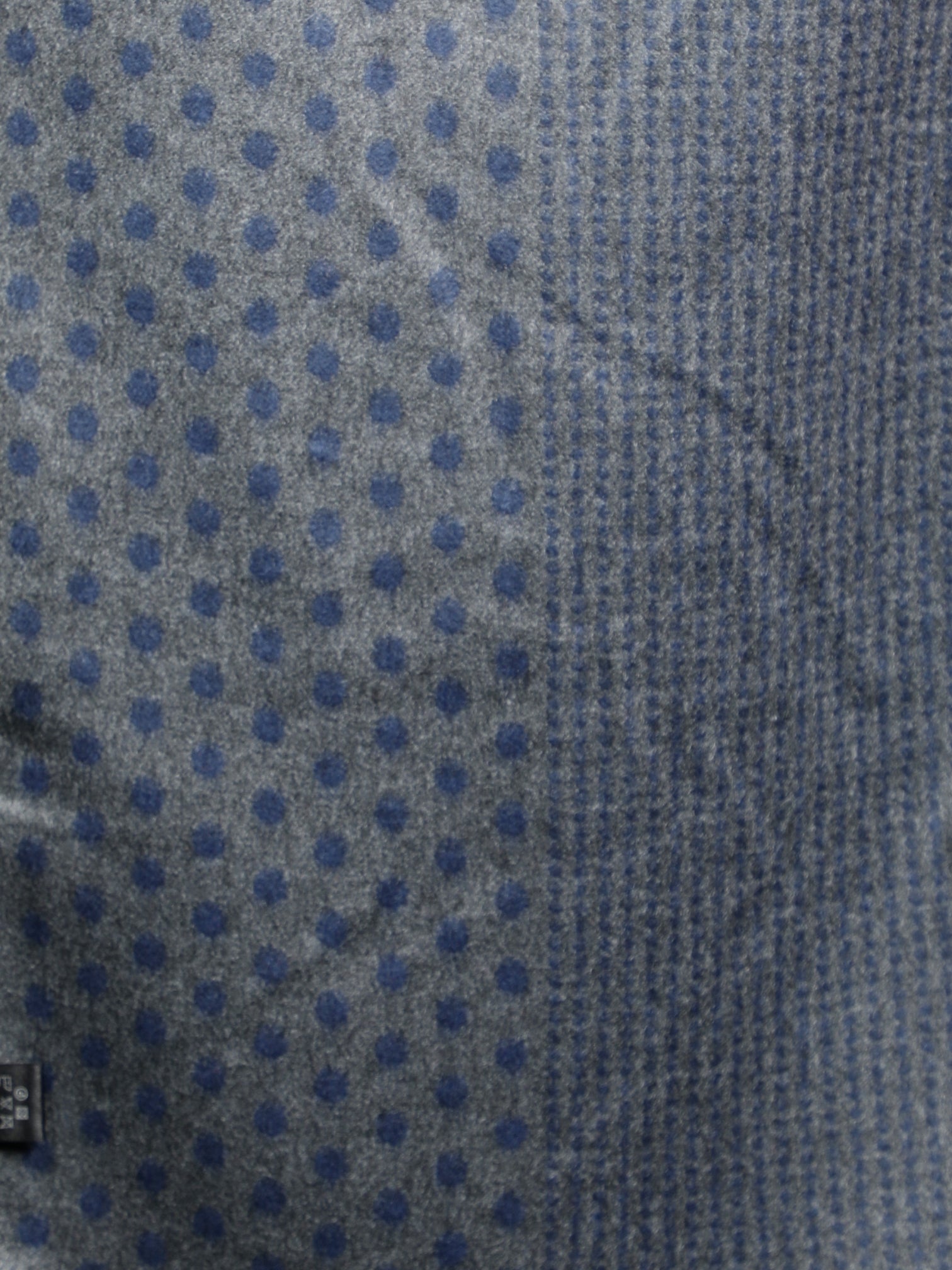 Alvaro Castagnino Men Grey & Blue Printed Muffler