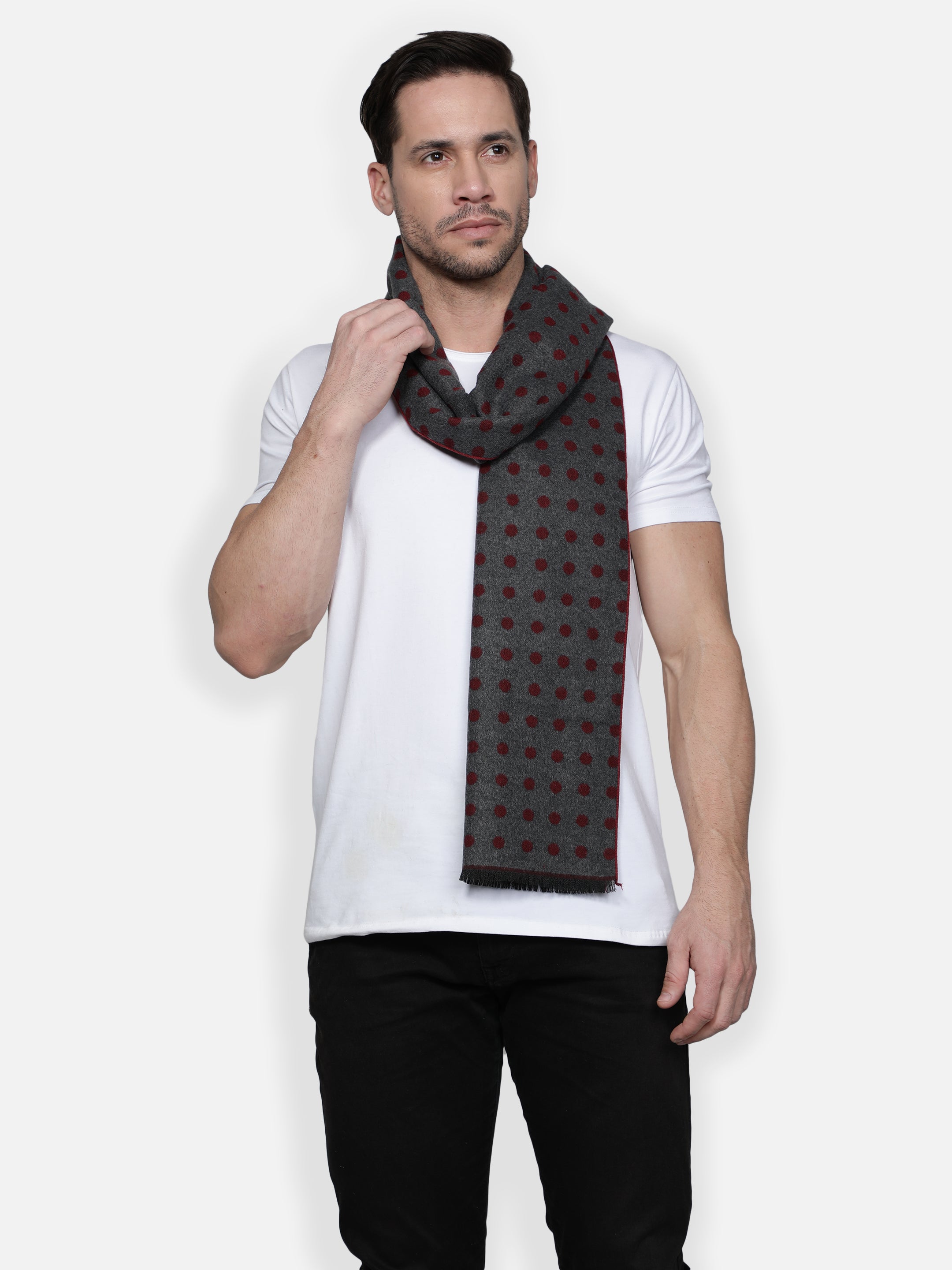 Alvaro Castagnino Men Maroon and Grey Polka Dot Printed Muffler