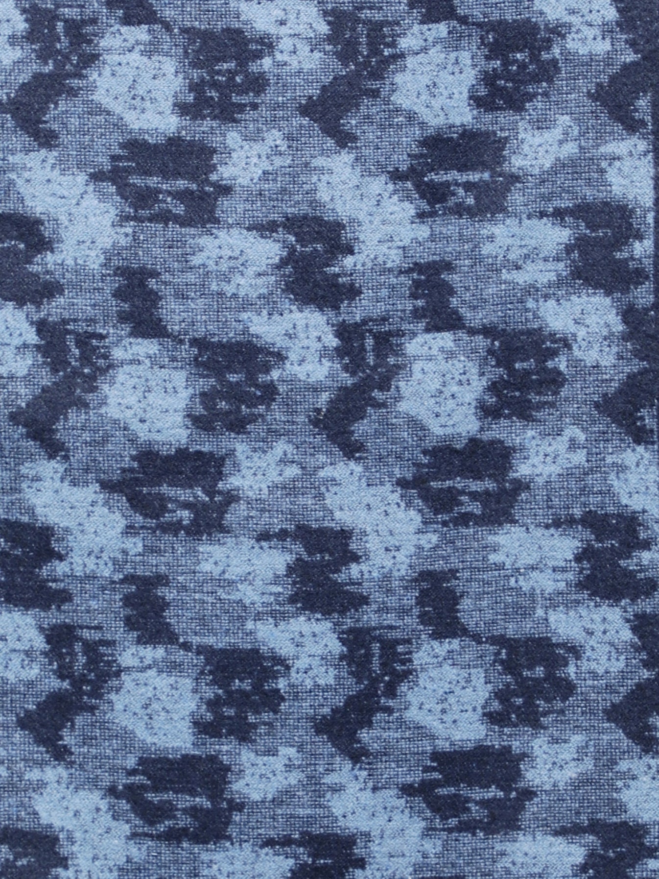 Alvaro Castagnino Men Blue Printed Muffler