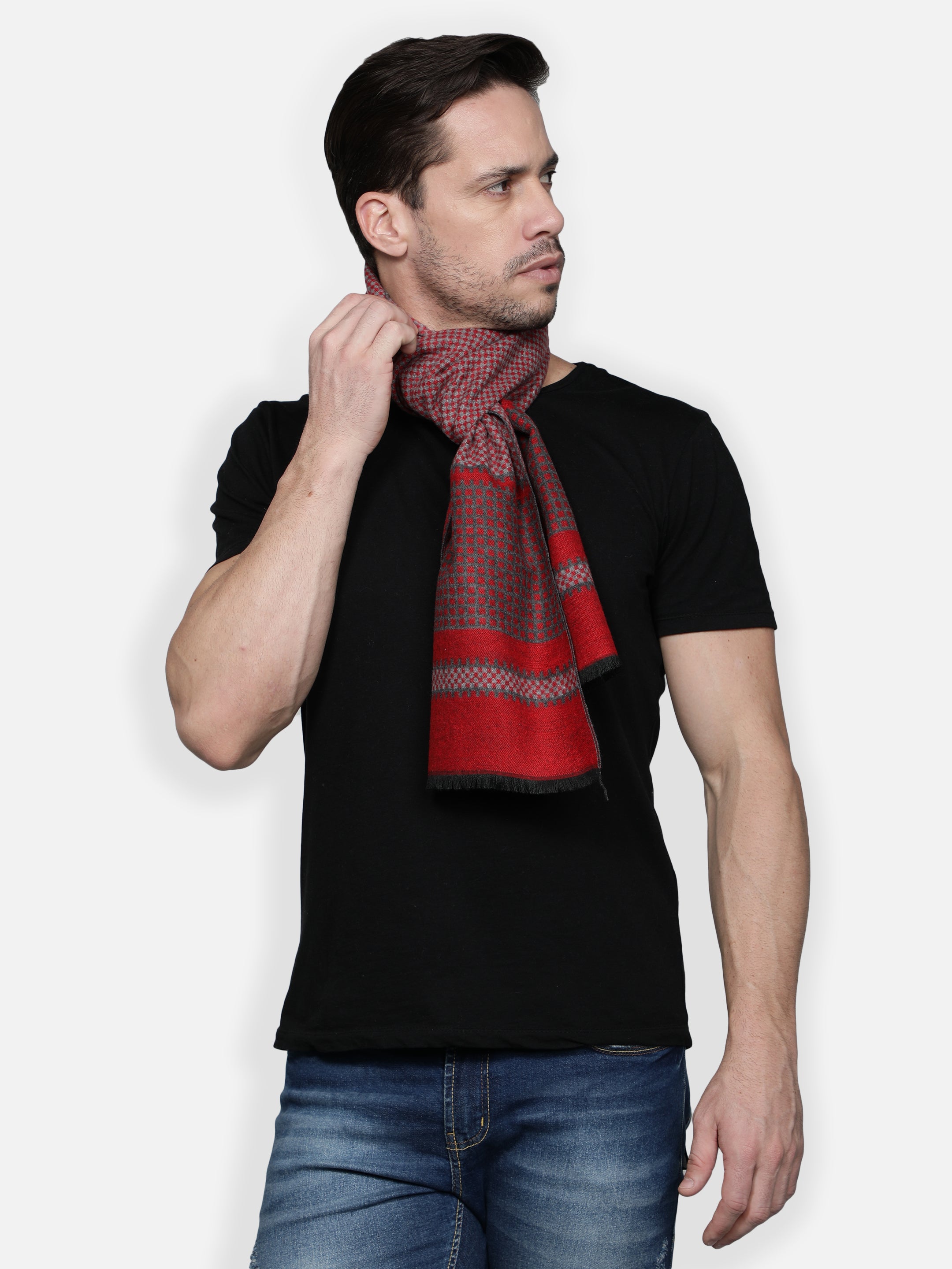 Alvaro Castagnino Men Red & Purple Mufflers