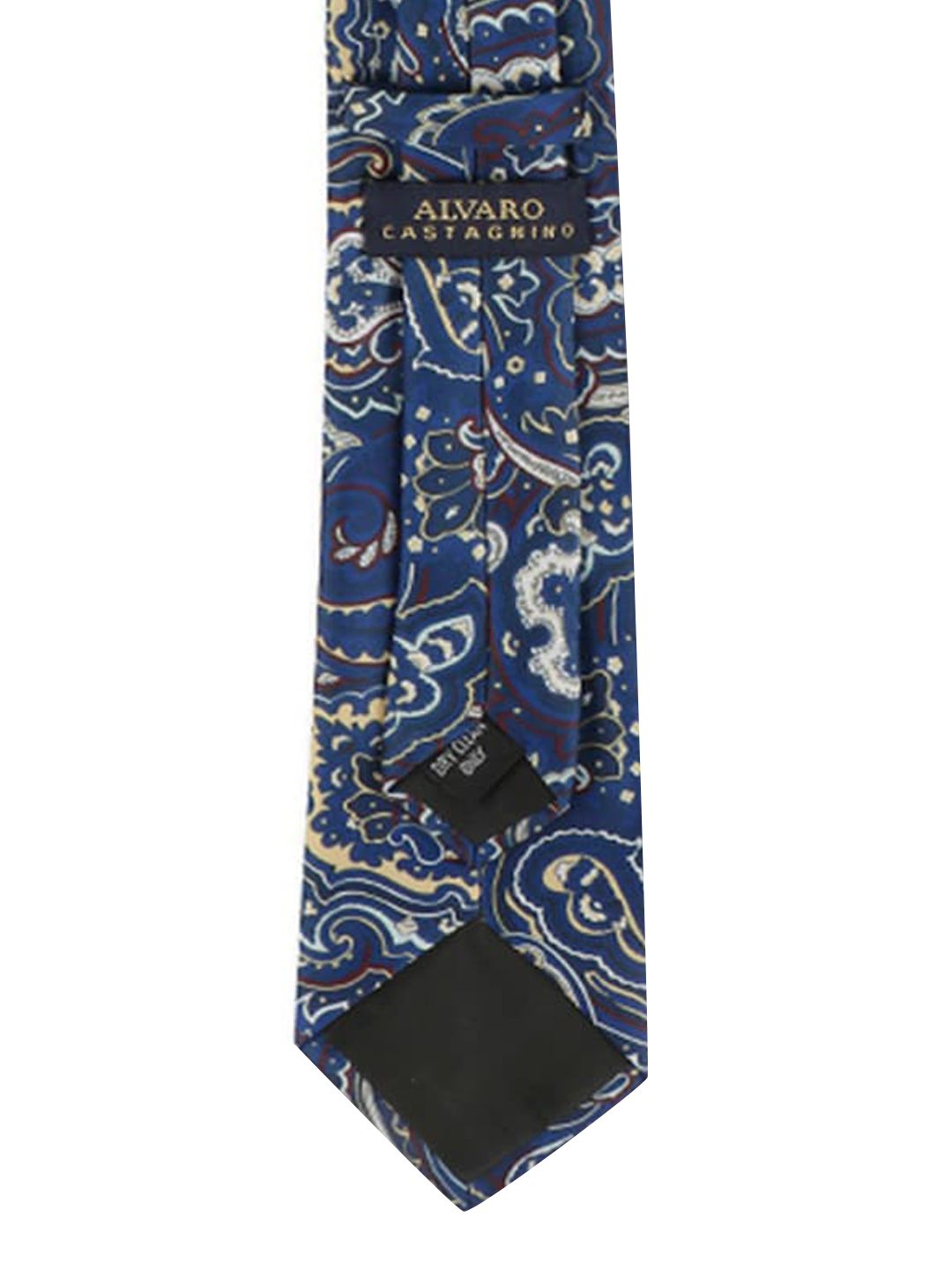 Alvaro Castagnino Men Blue Accessory Gift Set