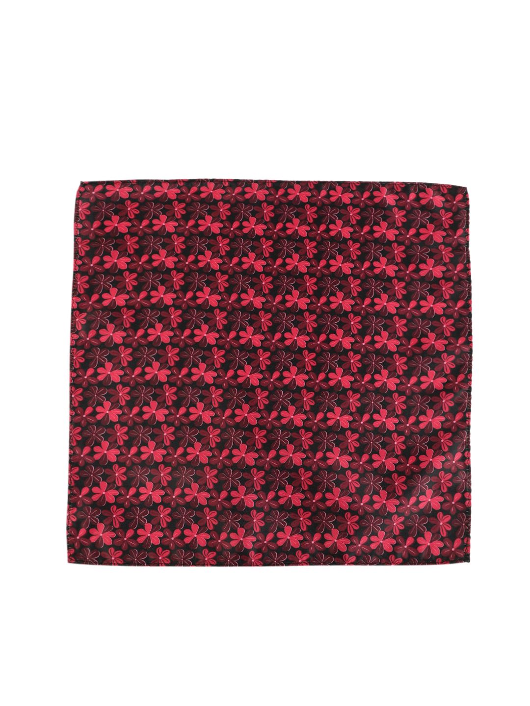 Alvaro Castagnino Men Red & Maroon Accessory Gift Set