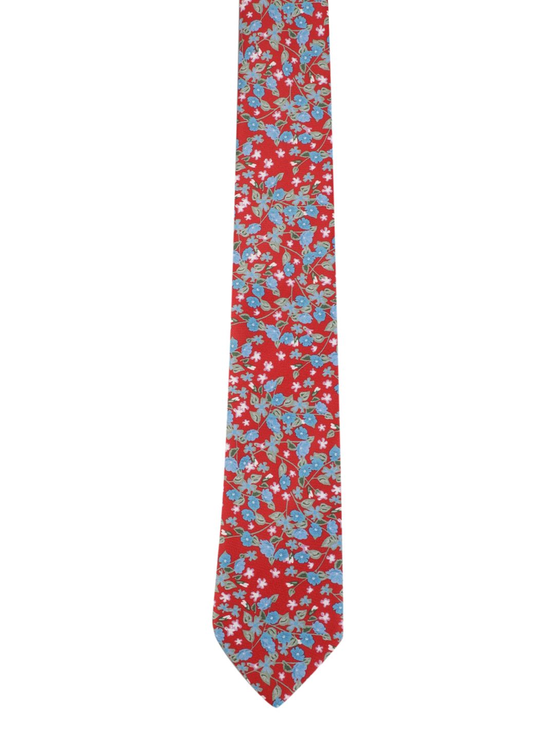 Alvaro Castagnino Men Red & Blue Accessory Gift Set