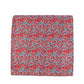 Alvaro Castagnino Men Red & Blue Accessory Gift Set