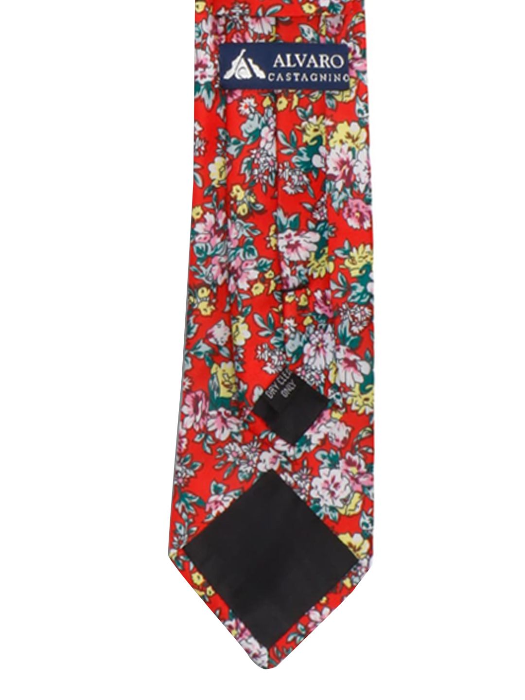 Alvaro Castagnino Men Red & Green Accessory Gift Set