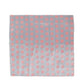 Alvaro Castagnino Men Grey & Pink Accessory Gift Set