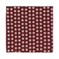 Alvaro Castagnino Men Maroon & Pink Accessory Gift Set