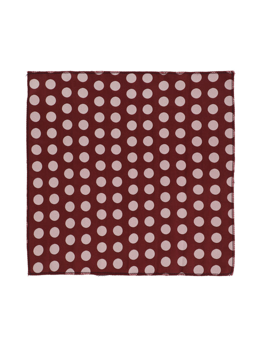 Alvaro Castagnino Men Maroon & Pink Accessory Gift Set