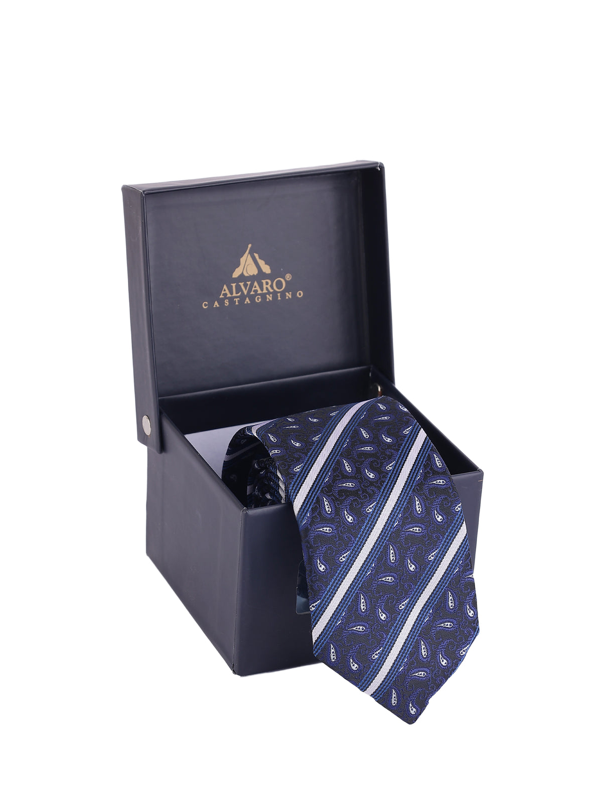Aristocratic Navy Paisley and Diagonal Stripe  Necktie