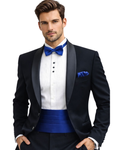 Alvaro Castagnino Men Blue Cummerbund Set