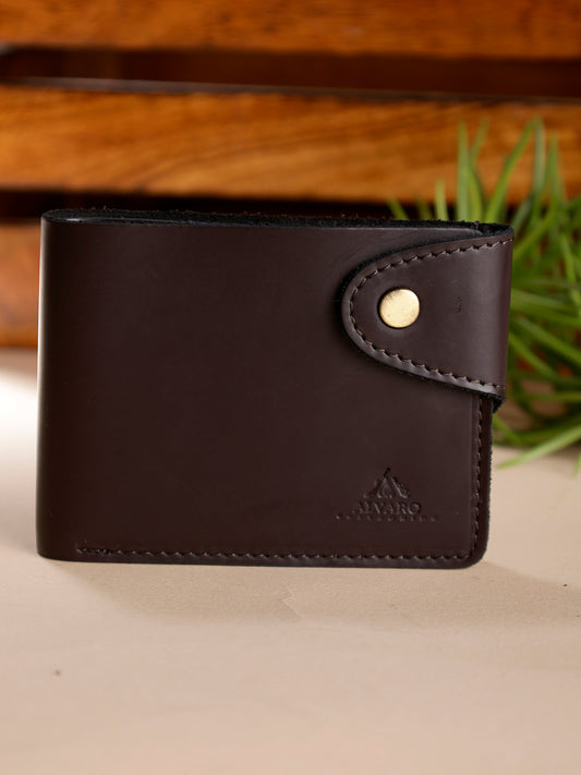 Alvaro Castagnino Brown Coloured Two Fold Leather Wallet for Men