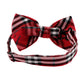 Alvaro Castagnino Men Red & Multicolored Striped Bow Tie