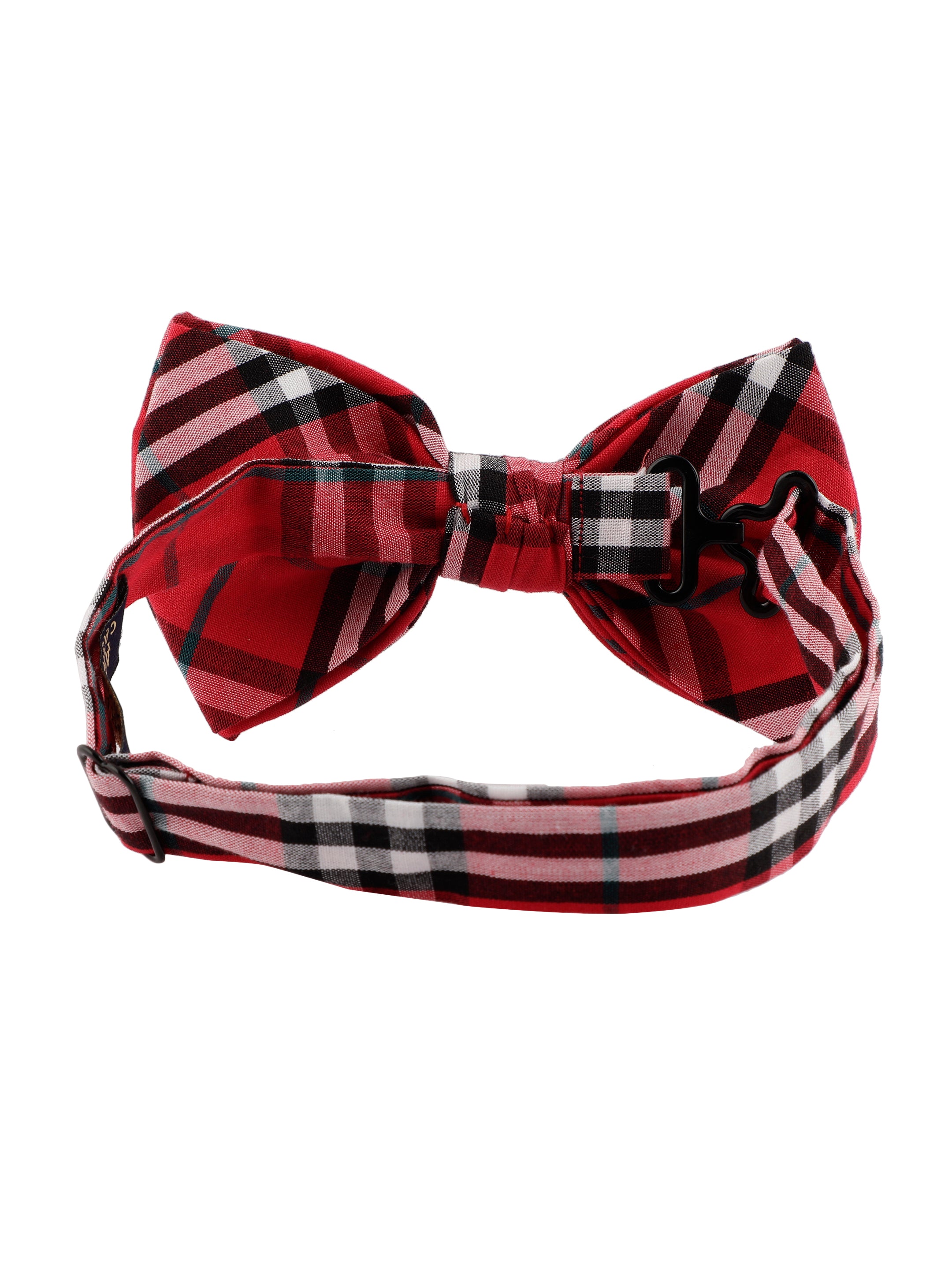 Alvaro Castagnino Men Red & Multicolored Striped Bow Tie