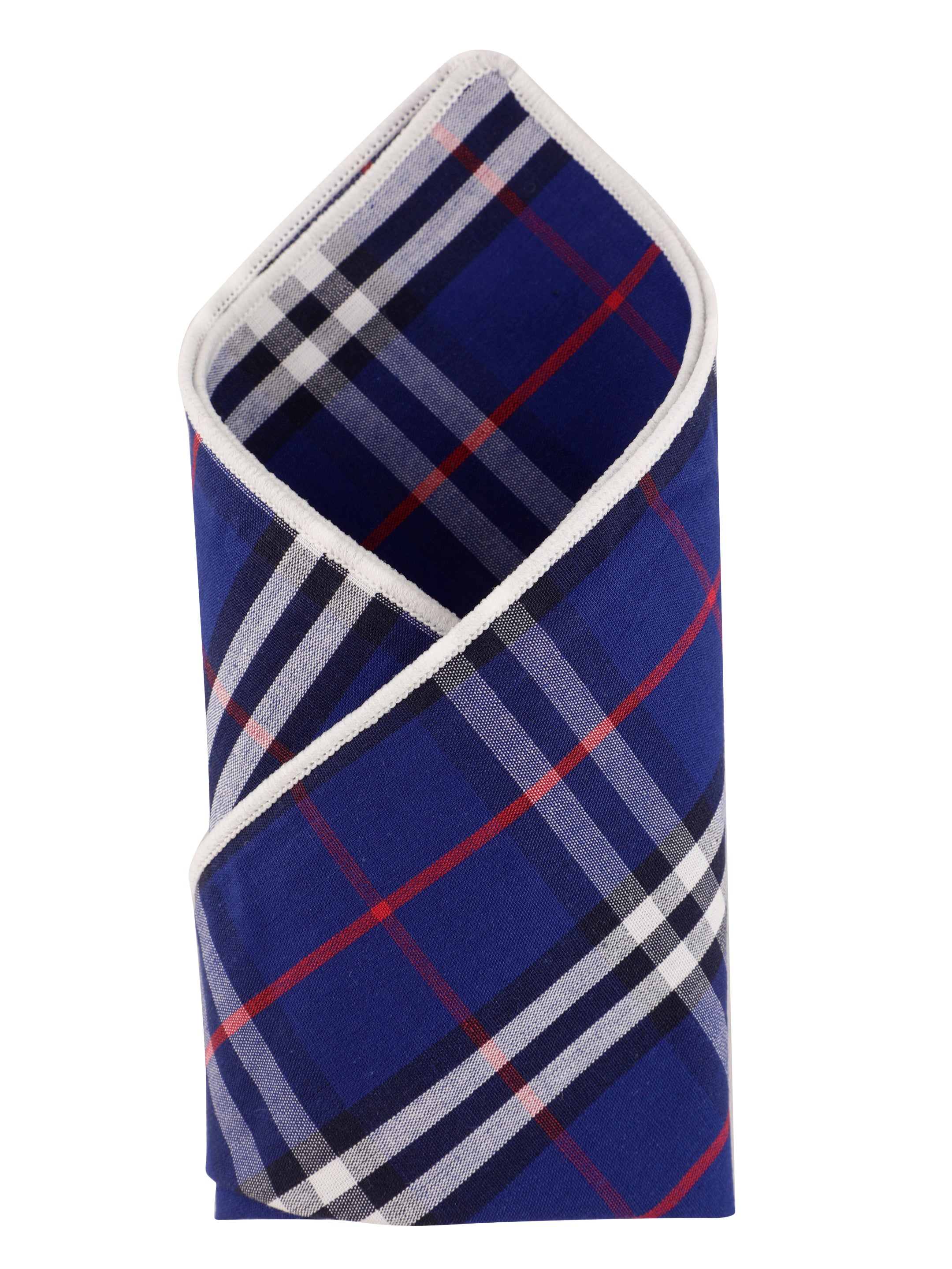 Alvaro Castagnino Blue & Multi Colored Microfiber Pocket Square for Men